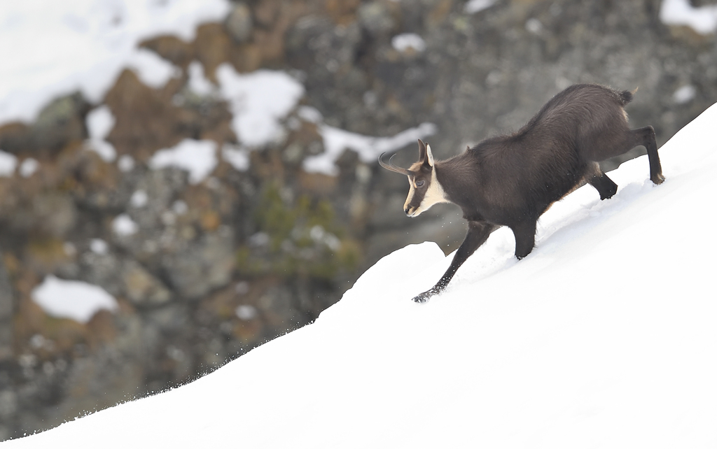 DS5_2595.jpg