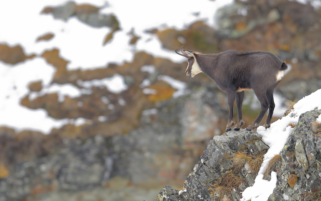 DS5_2606.jpg
