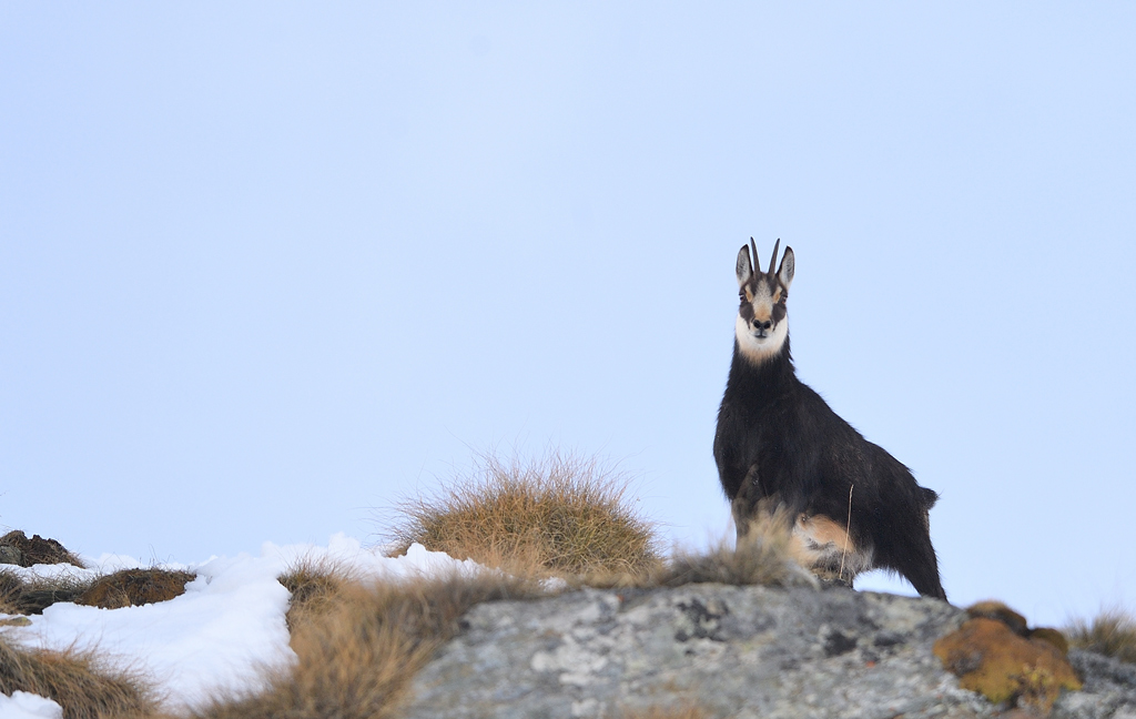 DS5_2611.jpg