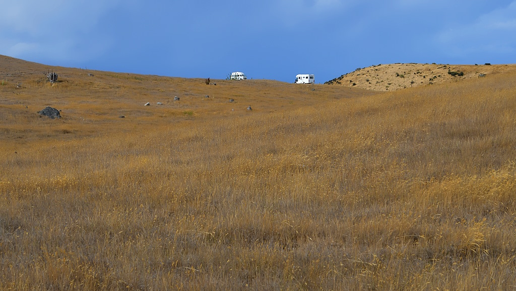 DSC_3205-001IN.jpg