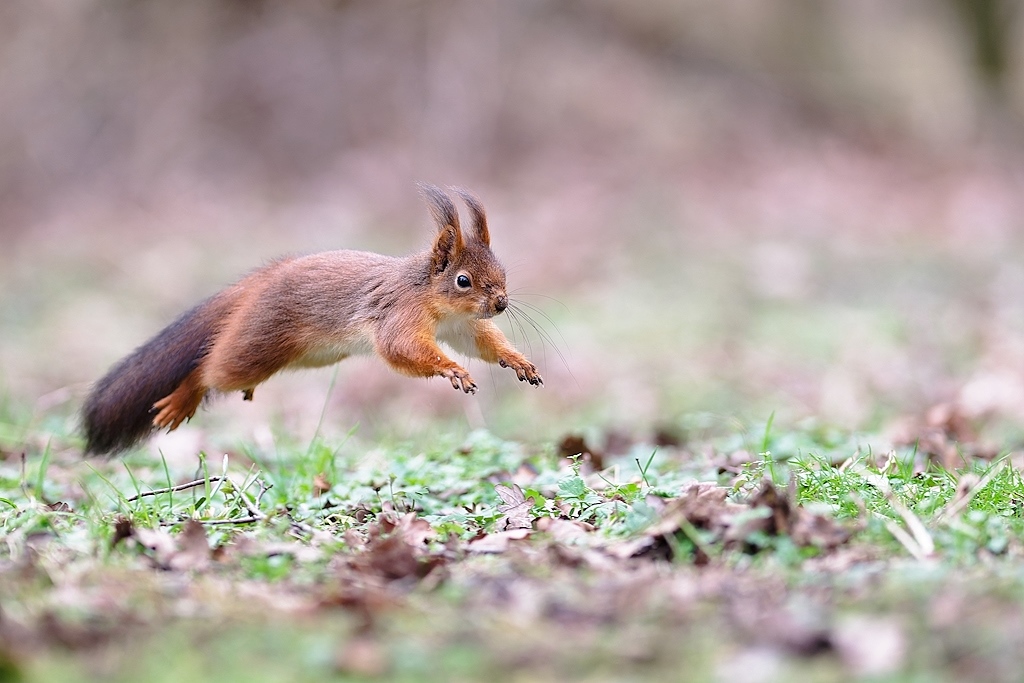 DSC_6769_DxO.jpg