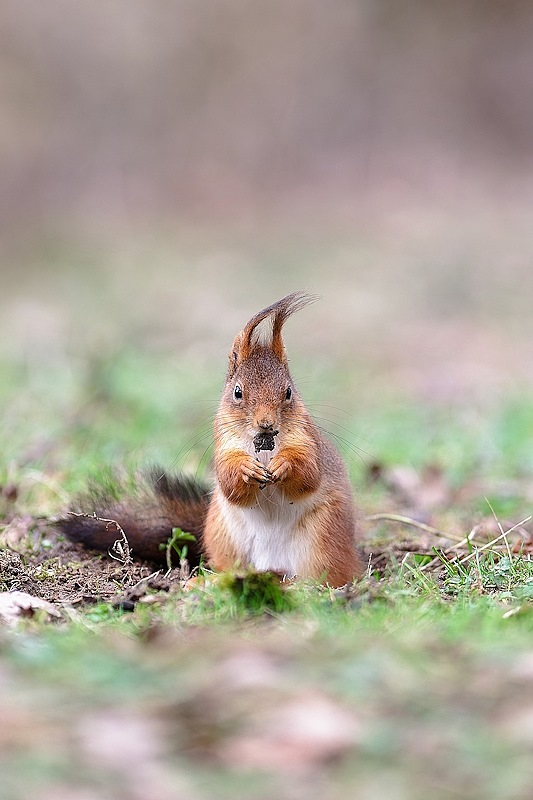 DSC_8816_DxO.jpg