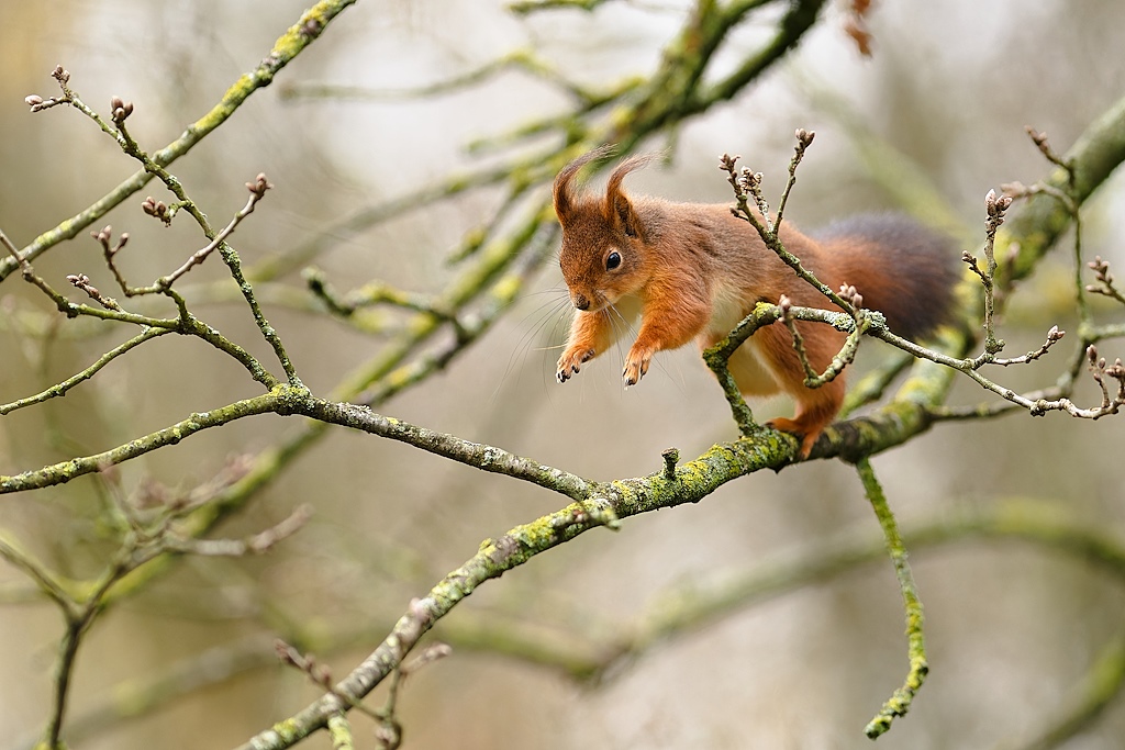 DSC_7753_DxO.jpg