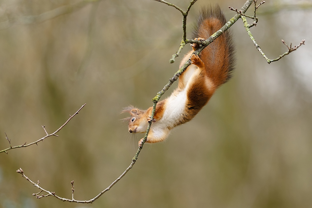 DSC_7800_DxO.jpg