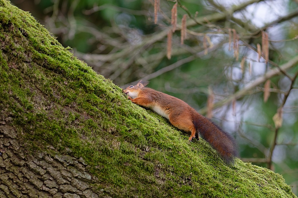 DSC_8554_DxO.jpg
