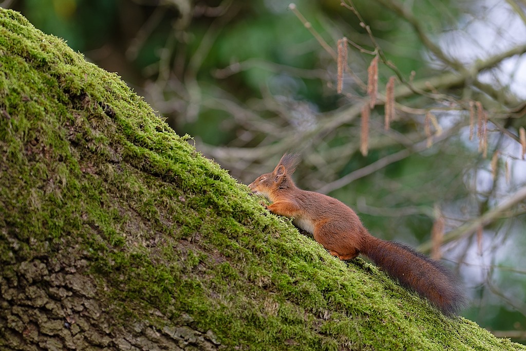 DSC_8564_DxO.jpg
