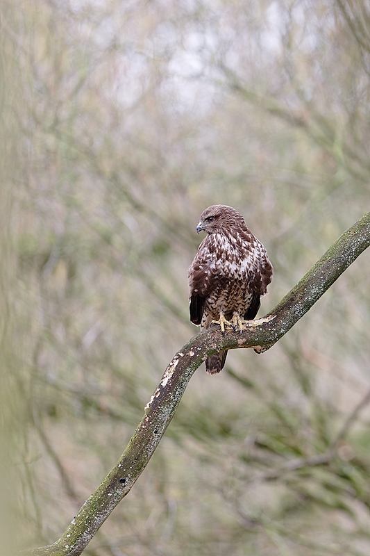 DSC_5767_DxO.jpg