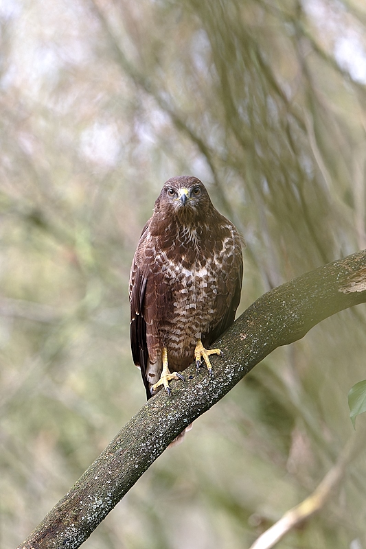 DSC_0324_DxO_1.jpg