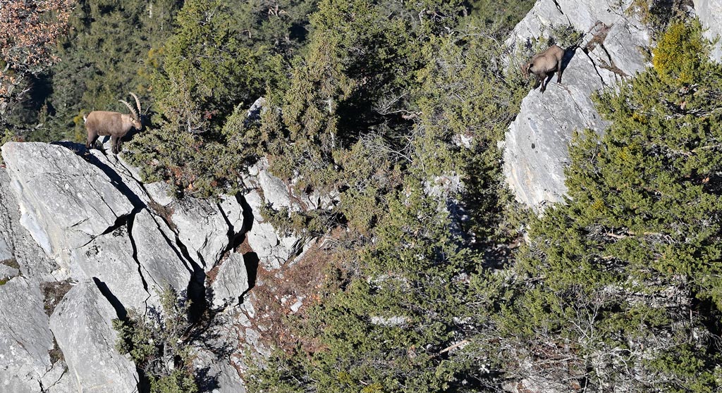 DSC_0049.jpg