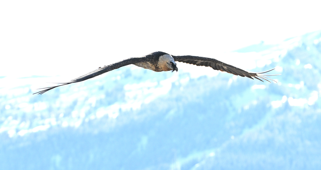 DSC_0188.jpg