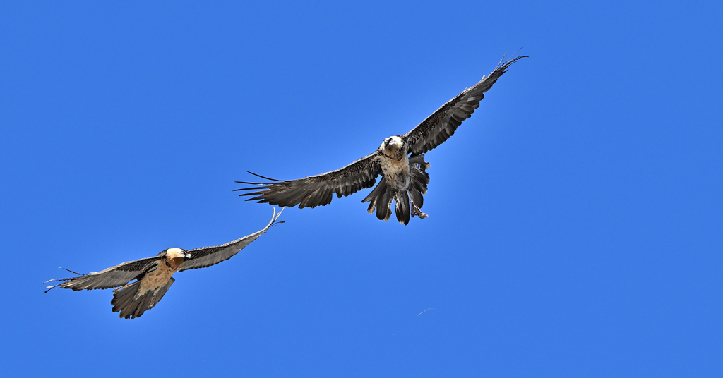 DSC_0285.jpg