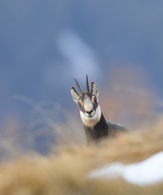 DS5_2922.jpg