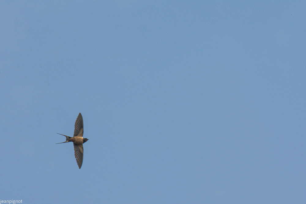 DSC_7534_2806.JPG
