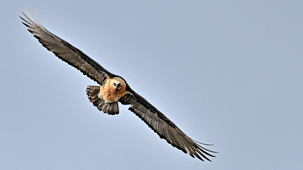 ZSC_1311.jpg