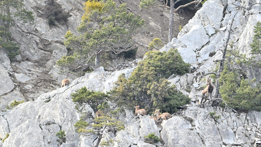 ZSC_2501.jpg