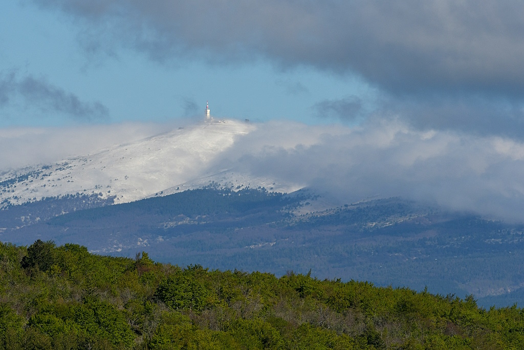 DSC_8259IN.jpg