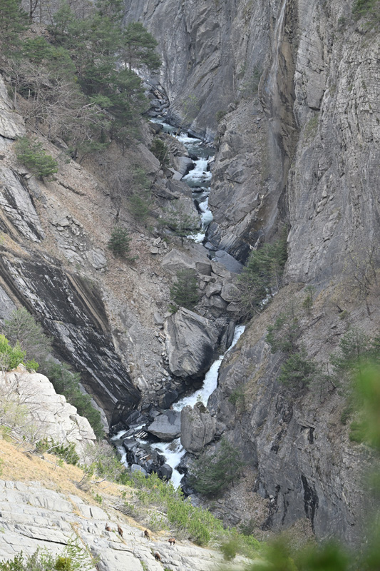 ZSC_2704.jpg