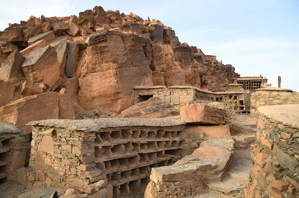 DS5_3124.jpg