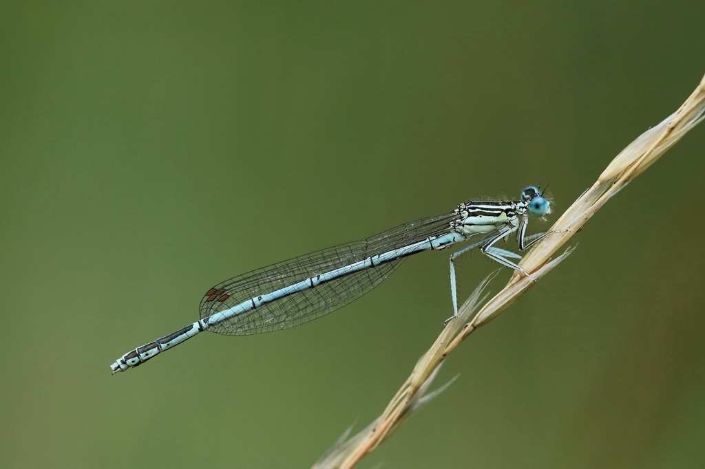 3 IMG_MÄLE.JPG
