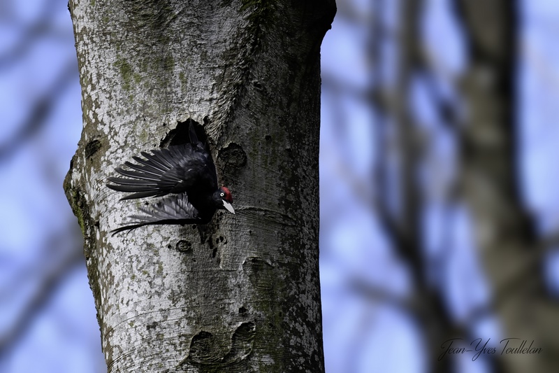 _DSC9571 copie 3 (Copier).jpg
