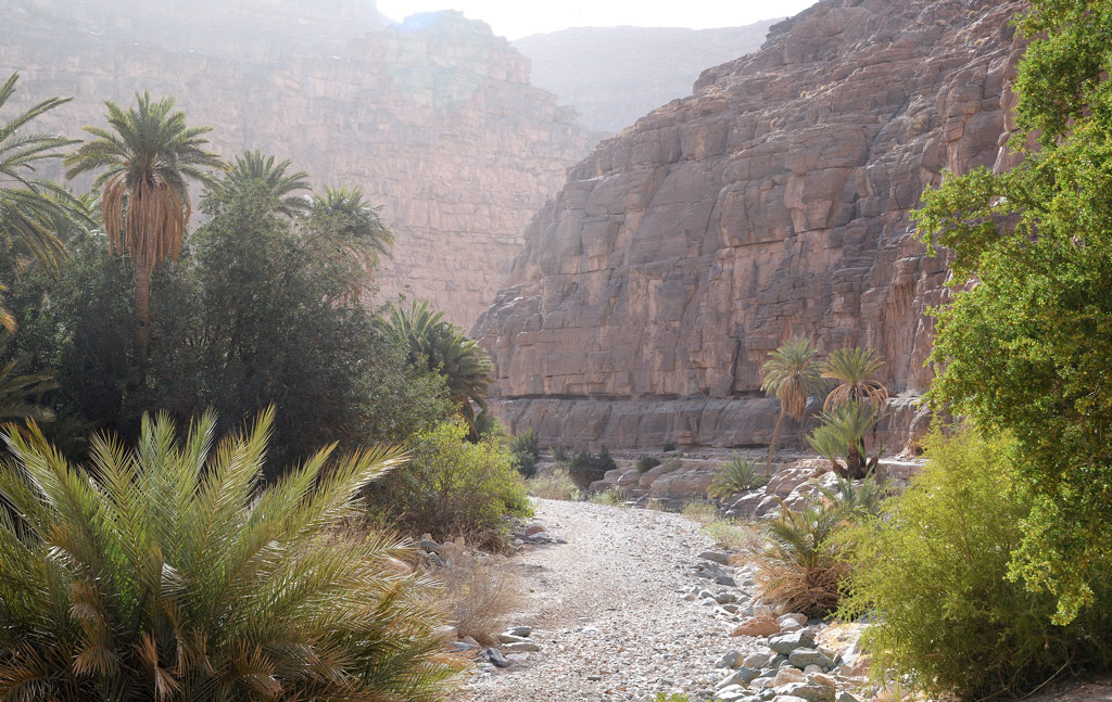 DS5_3088.jpg