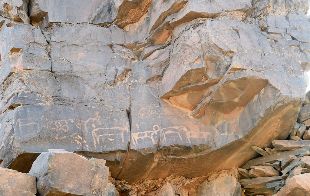 DS5_3099.jpg
