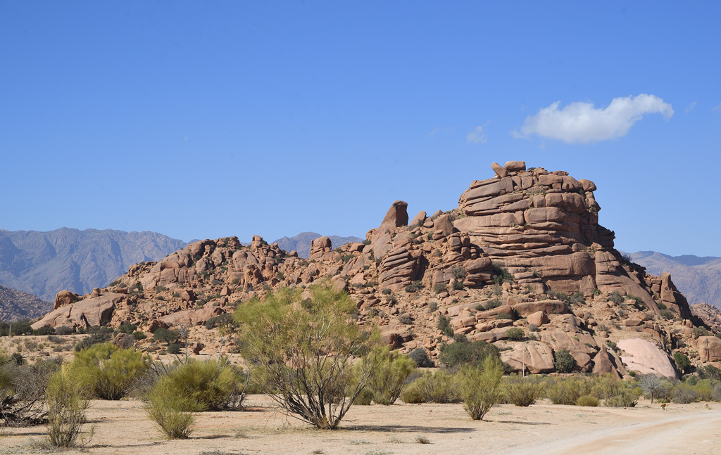 DS5_3183.jpg