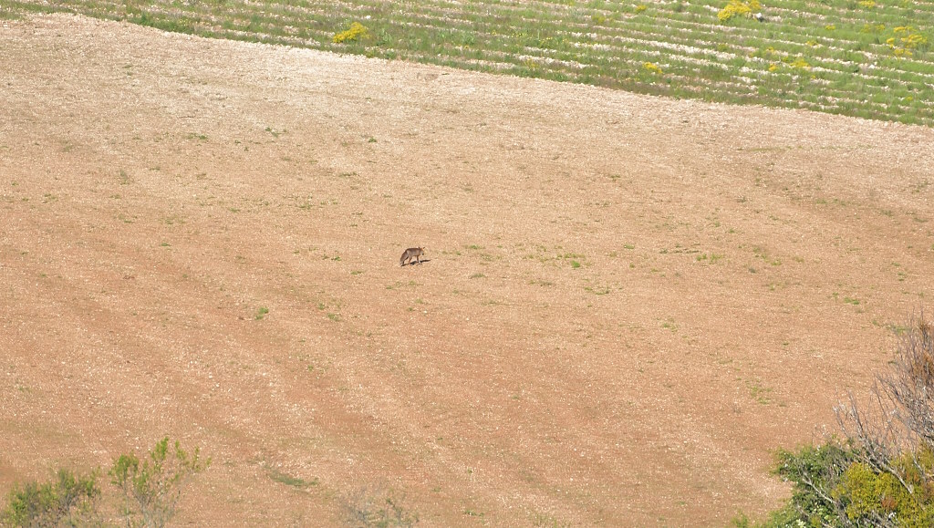 DSC_8584IN.jpg