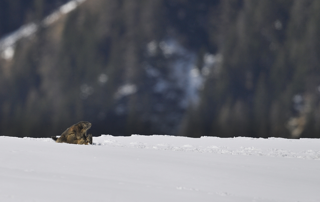 DS5_3632.jpg