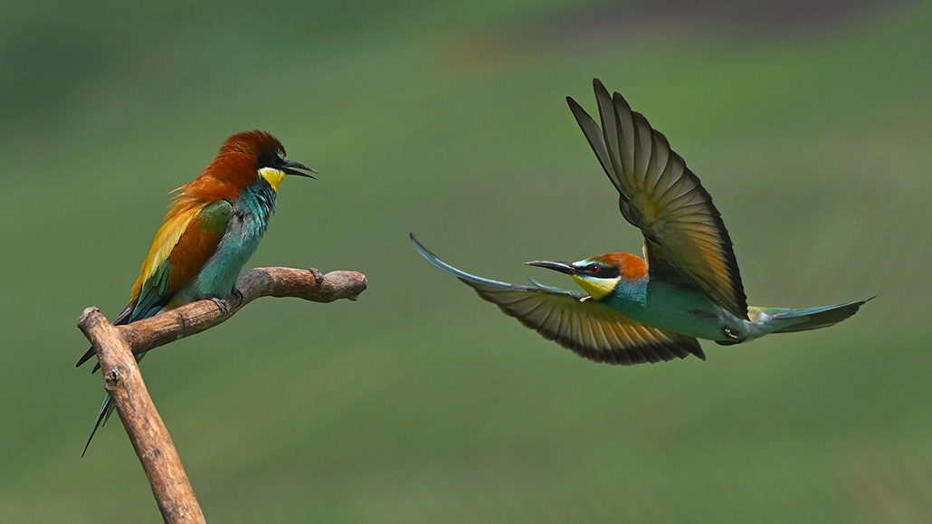 DSC_6255_I&N.jpg