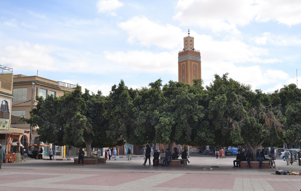 DS5_3242.jpg