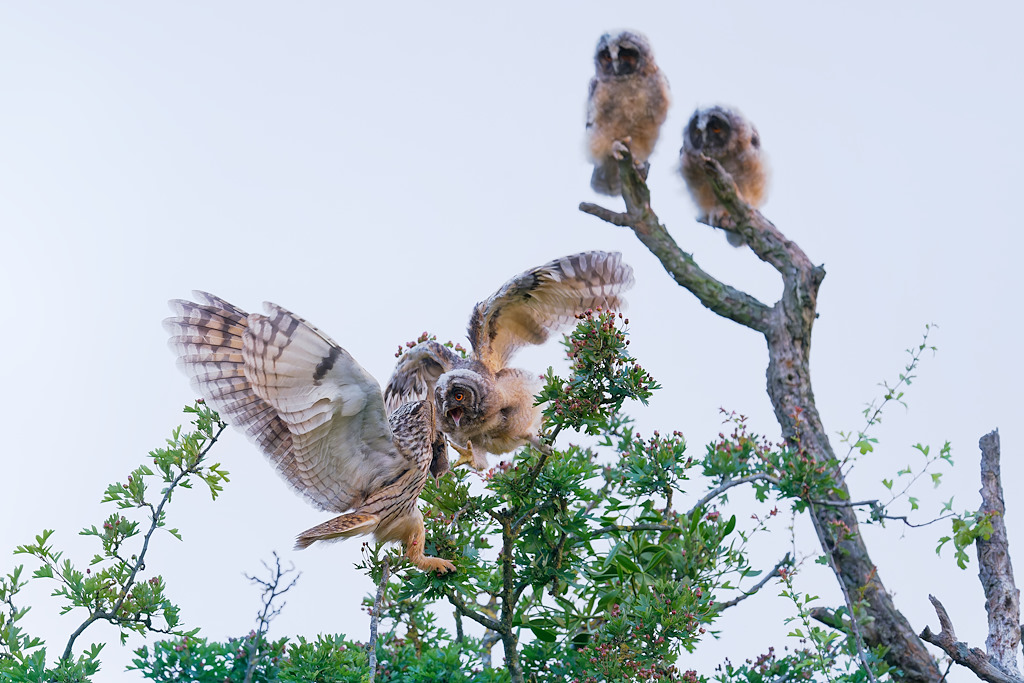 DSC_8948_DxO-2.jpg