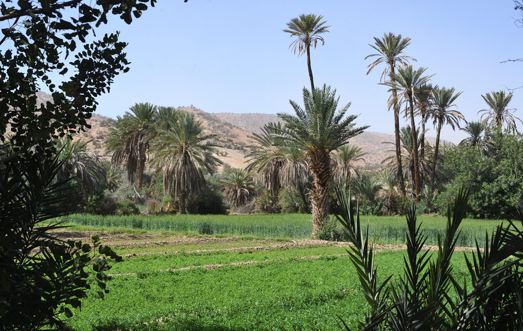 DS5_3274.jpg