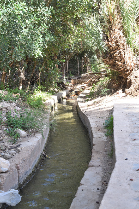 DS5_3275.jpg
