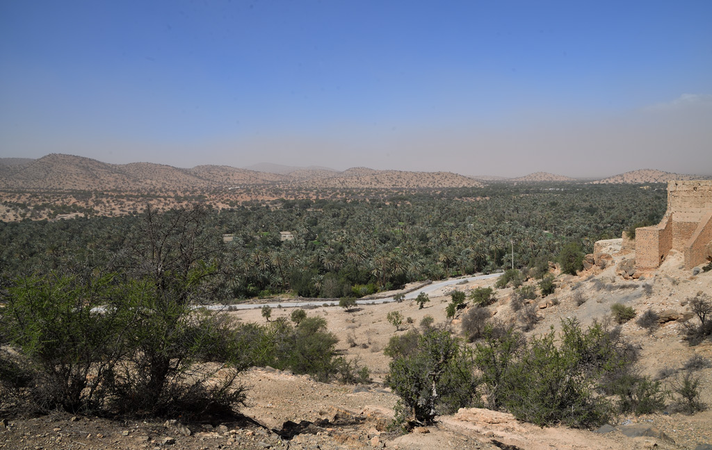 DS5_3279.jpg
