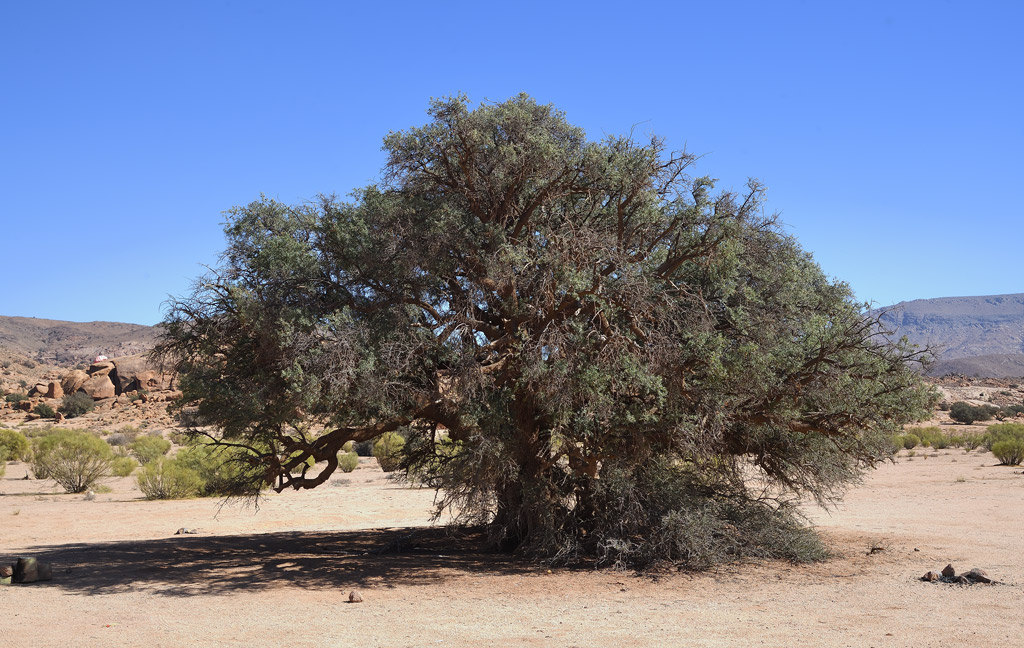 DS5_3177.jpg