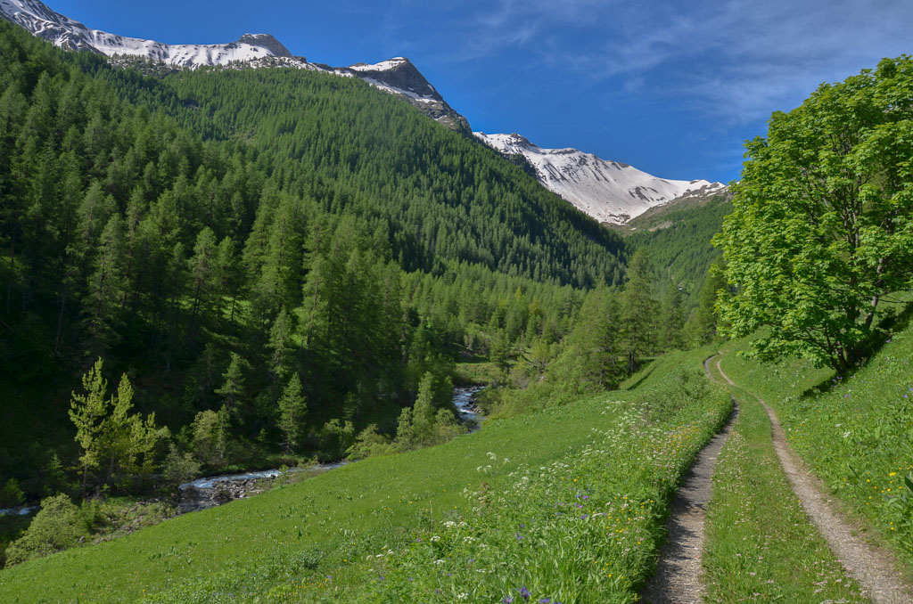 54- Montée col de Rouanette.jpg