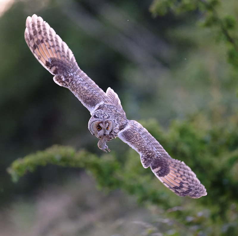 DSC_4878_DxO.jpg