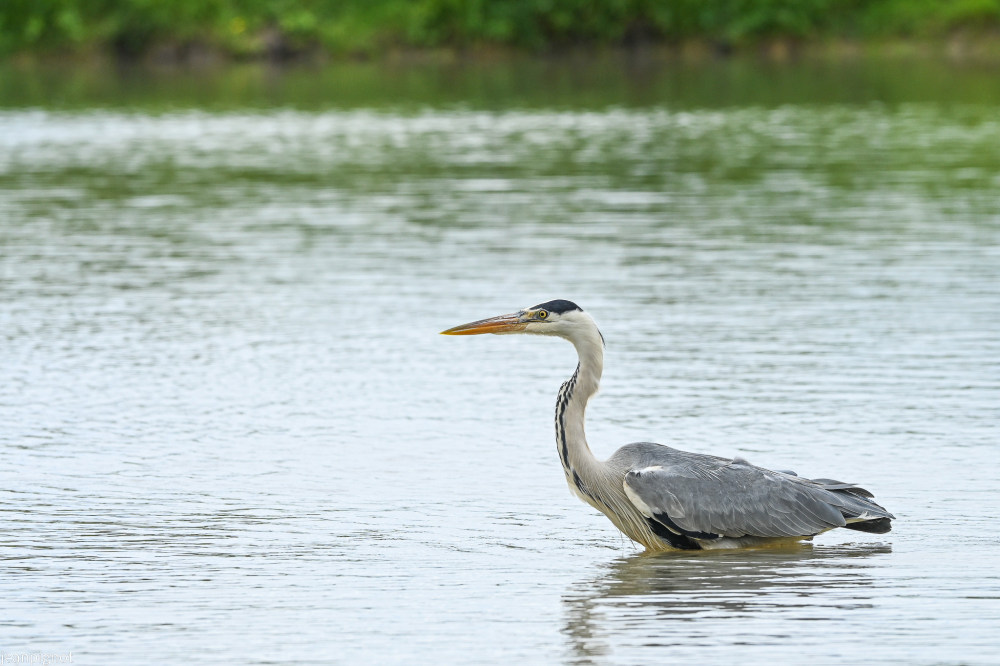 DSC_2870_2968.JPG