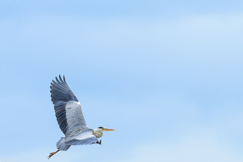 DSC_2905_2970.JPG