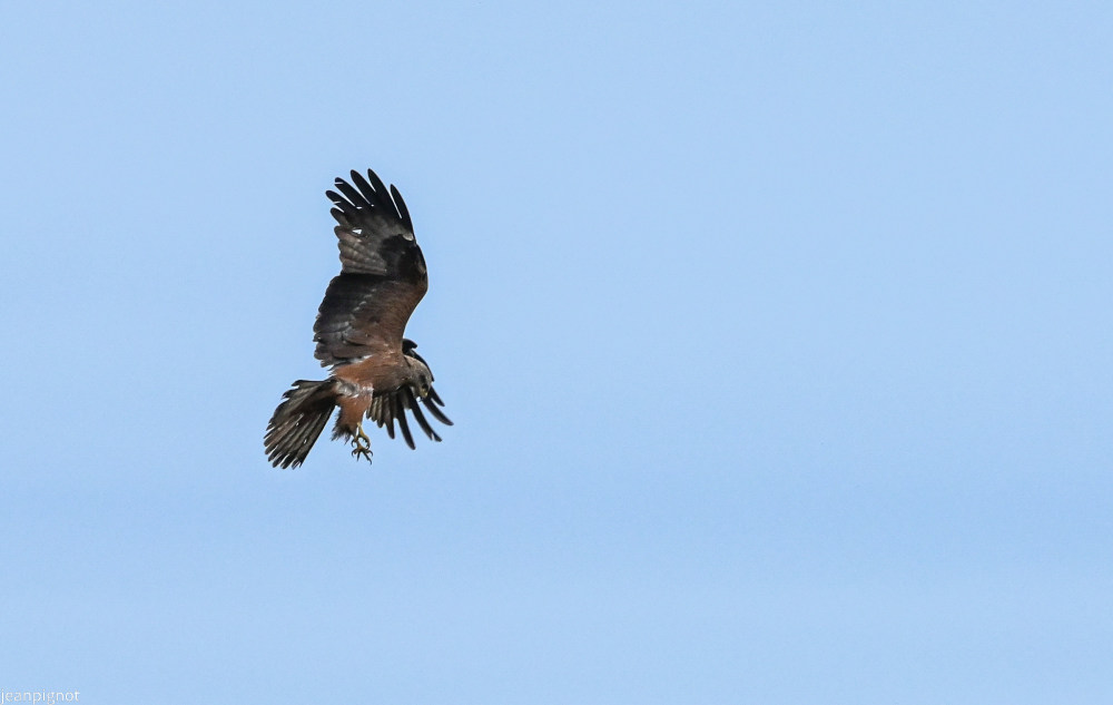 DSC_2352_2964.JPG