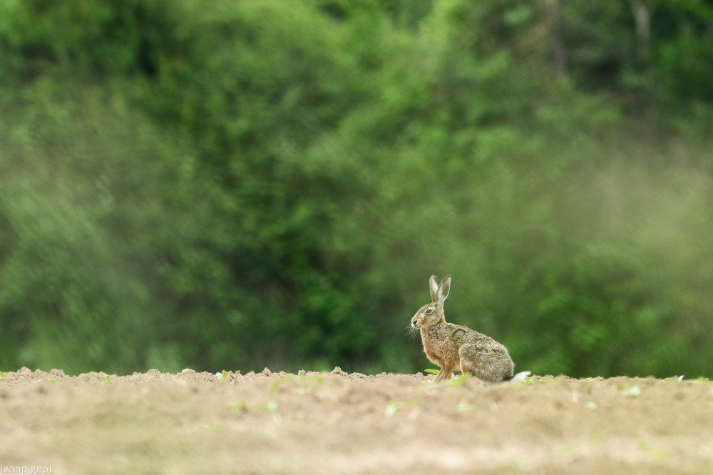 DSC_6137_3016.JPG