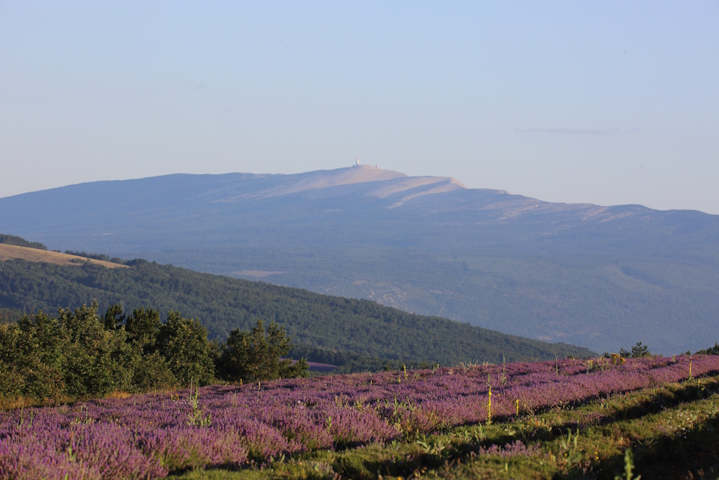 1813 Ventoux vu du plateau de Sault.jpg