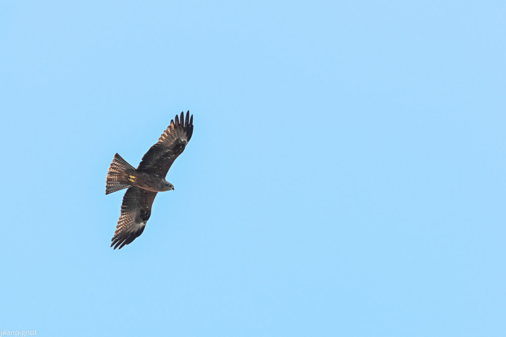 DSC_2737_2967.JPG