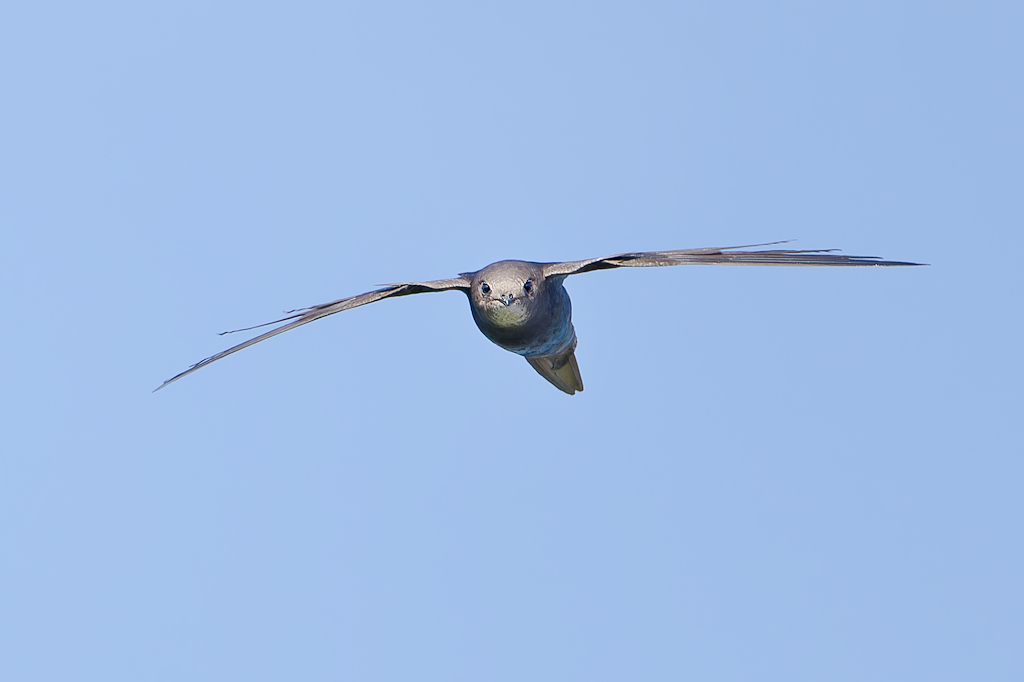 DSC_3130_DxO.jpg