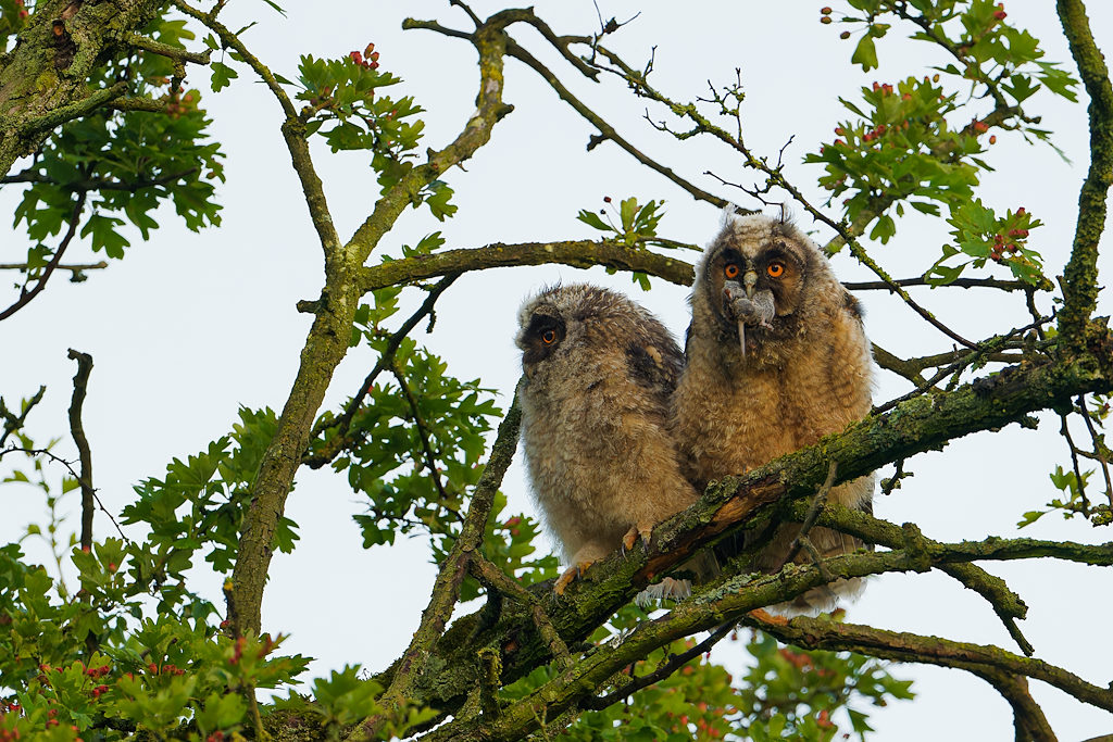 02DSC_4928_DxO.jpg