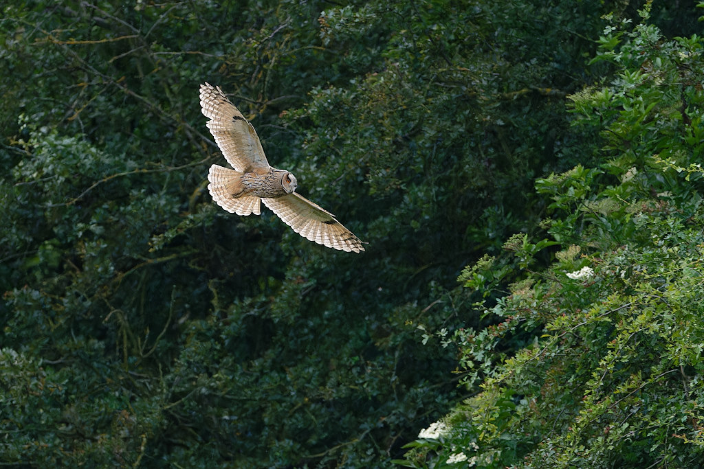 04DSC_5601_DxO.jpg