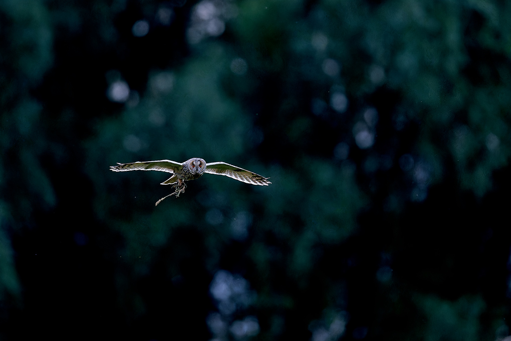 04DSC_7962_DxO.jpg