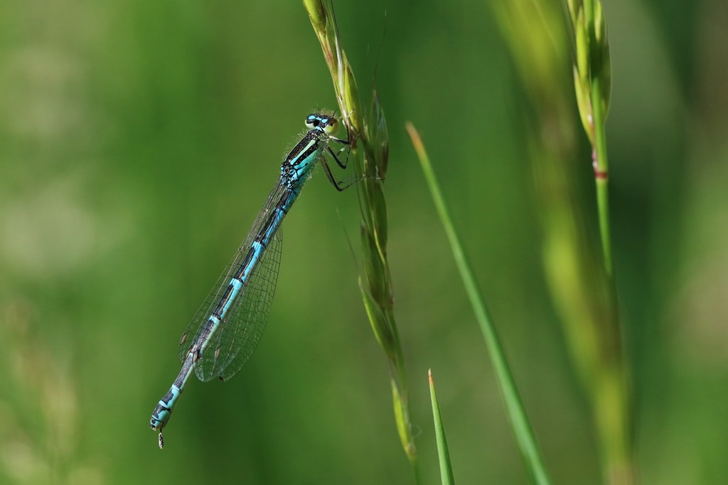 8 IMG_♀ 2.JPG