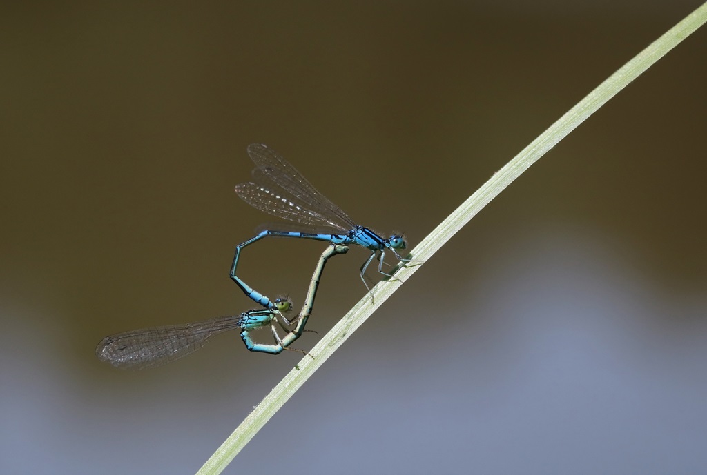 9 IMG_5581X.JPG